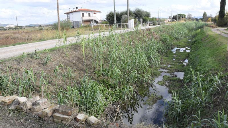 Fosso Beveraggio e lo stop alla balneazione: «Perché non c’è nessuna relazione»