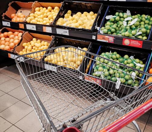 Modena. Social card del governo alle famiglie: «È iniqua, esclude chi ha bisogno» 