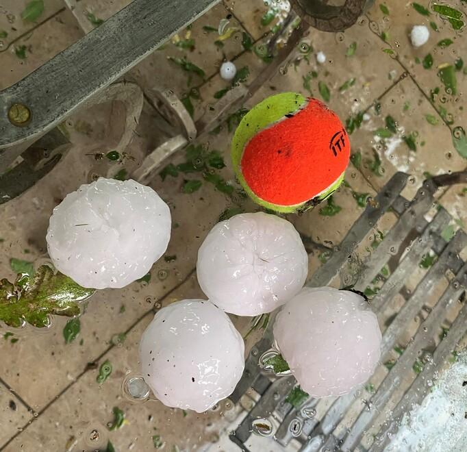 Grandine, colpite 400 aziende nel Modenese