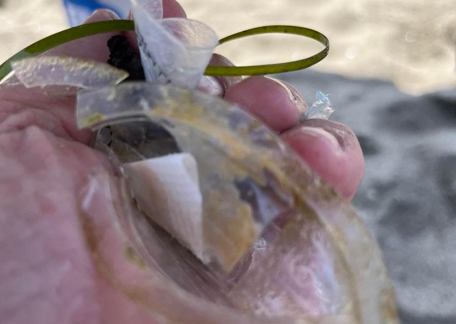 «La plastica non arriva dalla laguna», Calenda costretto a scusarsi con il sindaco di Orbetello