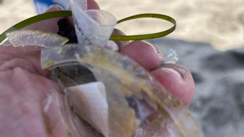 «La plastica non arriva dalla laguna», Calenda costretto a scusarsi con il sindaco di Orbetello