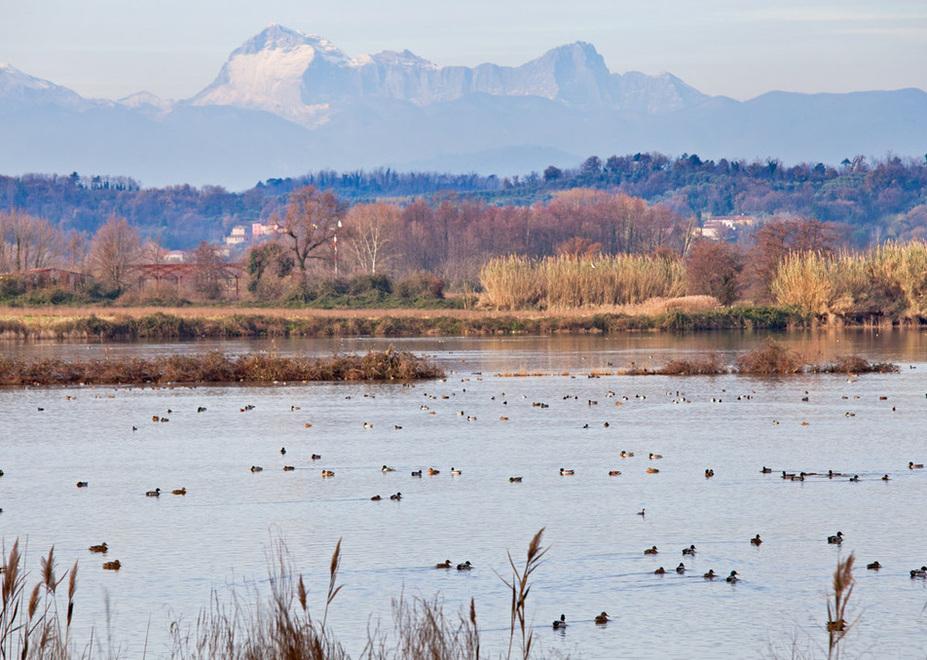 Uno scorcio del Lago della Gherardesca (Foto Matteo Bini)