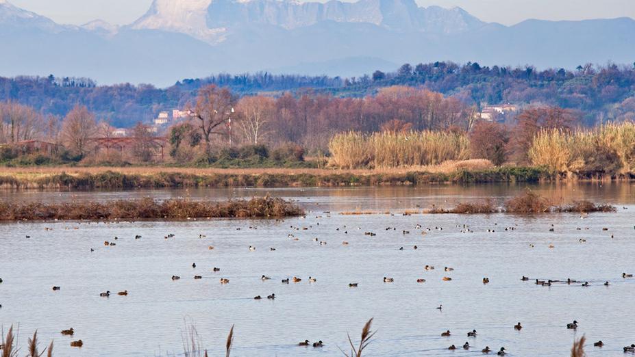 Uno scorcio del Lago della Gherardesca (Foto Matteo Bini)