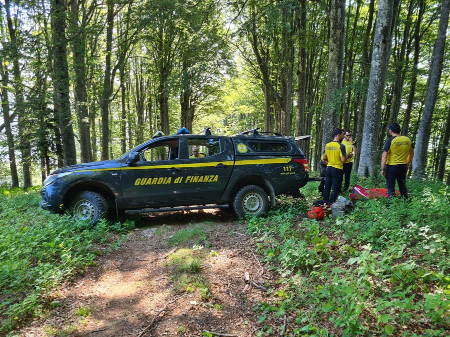 Pistoia, si perde nel bosco: 13enne salvata dalla Finanza
