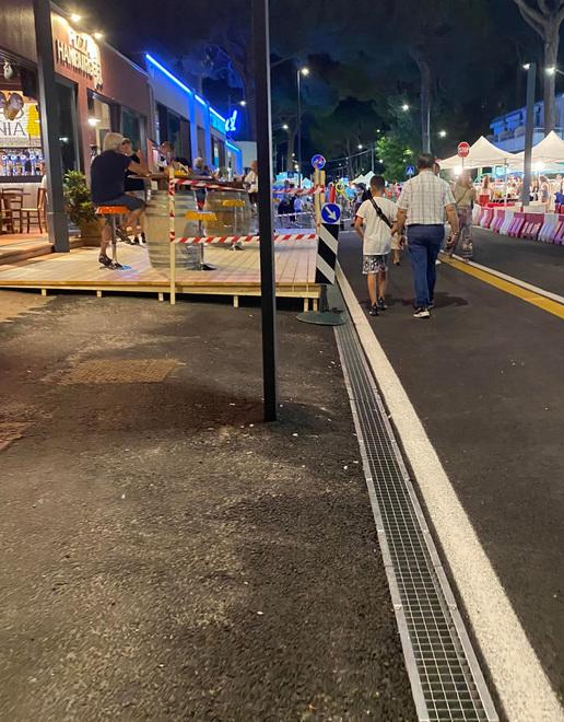 «Lido Estensi deturpato dagli escrementi dei volatili»