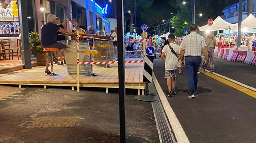 «Lido Estensi deturpato dagli escrementi dei volatili»