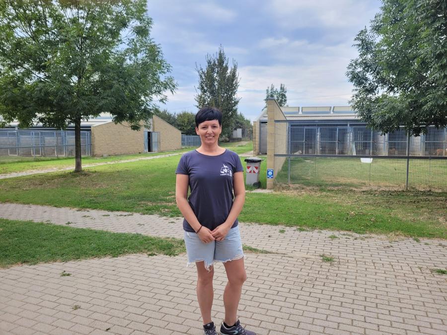 Formigine. «Qui a Magreta, troppi cani e gatti in struttura. Aiutateci, venite e adottateli»