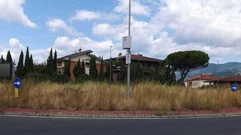 Montecatini, vicesindaco contro la Provincia: «Erba alta sulle strade e nelle rotonde, è pericoloso»