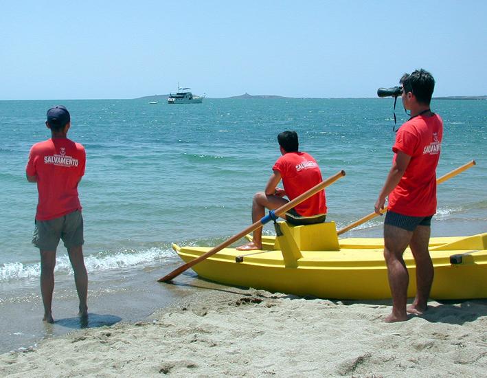 
	Bagnini impegnati nel servizio di salvamento a mare (archivio)

