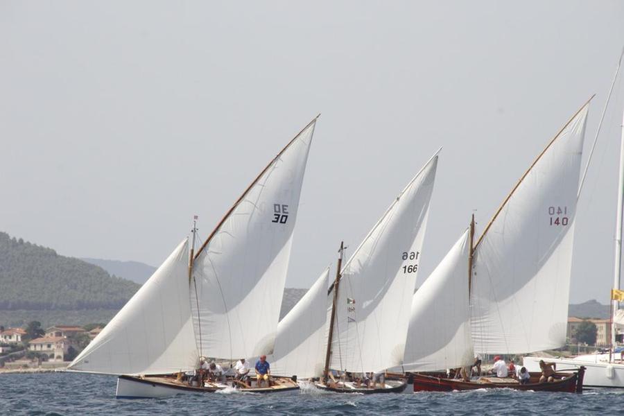 Campionato Zonale di vela Latina “Re di Sardegna”, trionfo di “Ishtar”