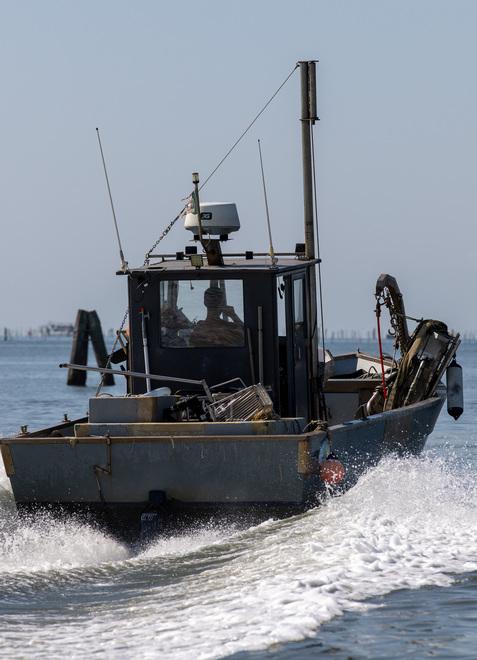 Scuola e istruzione, maglia nera per Goro. Abbandono altissimo