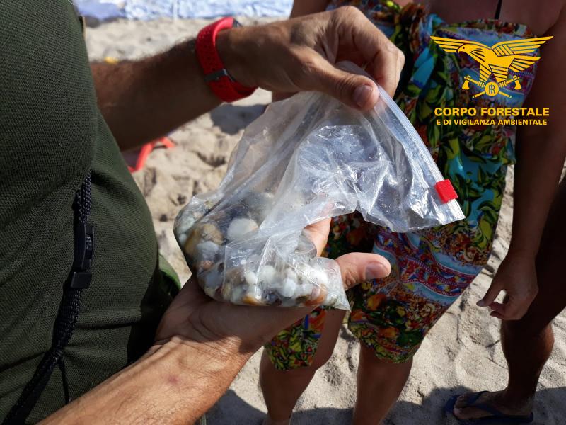 Valledoria, ruba un chilo di ciottoli: multa da oltre mille euro