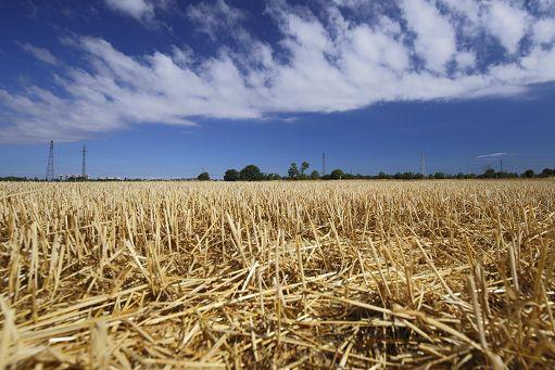 Il pianeta soffoca per il caldo