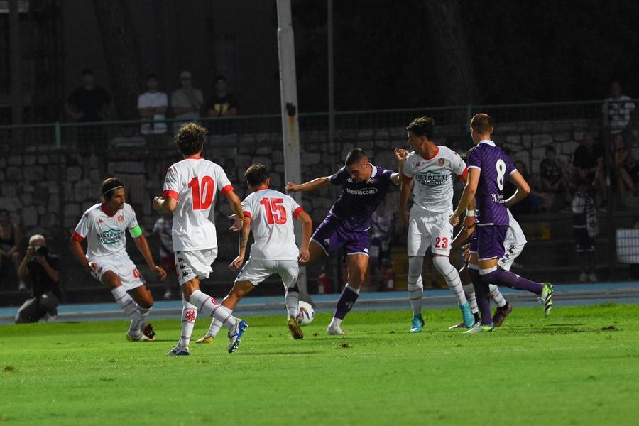 
	Grosseto-Fiorentina: l'amichevole allo stadio Zecchini&nbsp;

