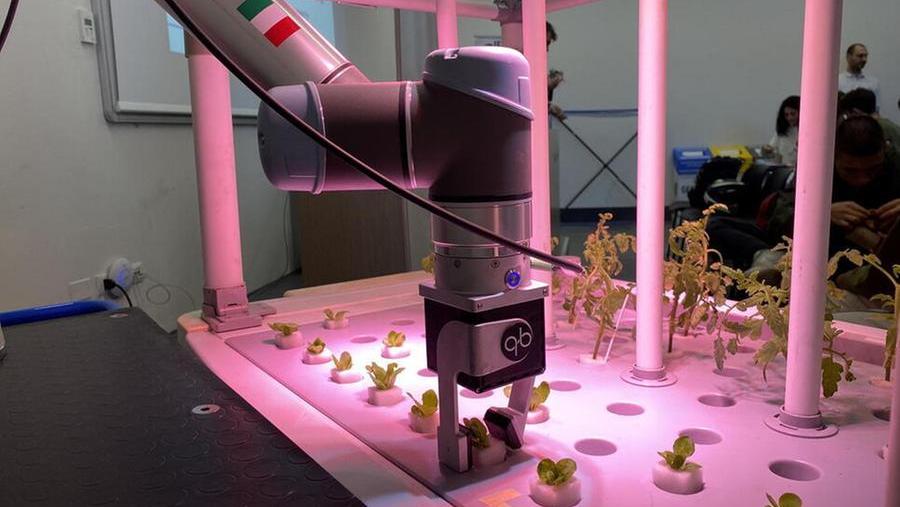 Internet festival a Pisa, la parola chiave è “Artificiale": date, ospiti e programma