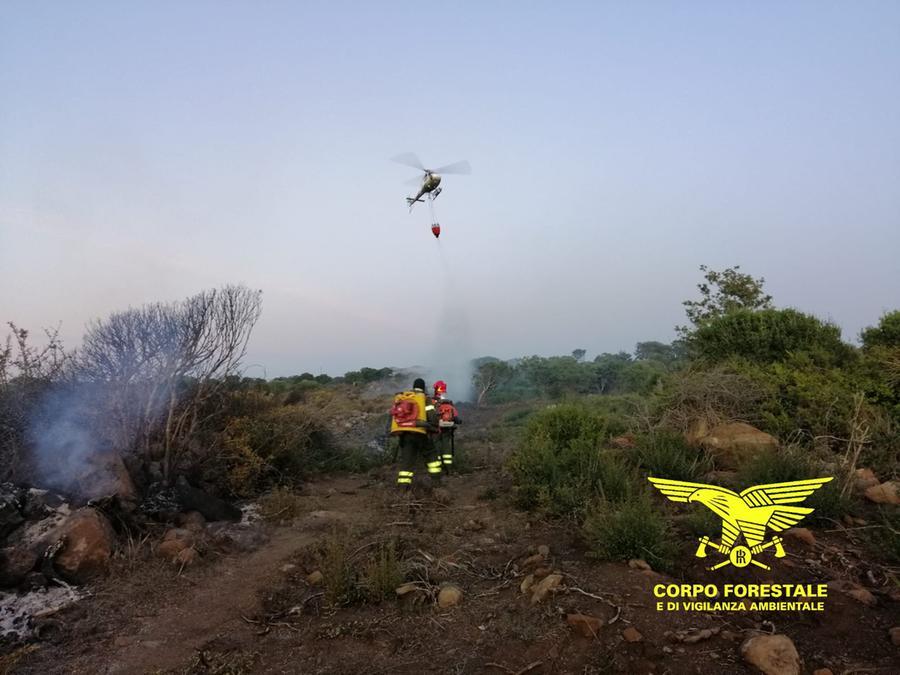
	Operatori del Corpo Forestale in attivit&agrave; antincendi a supporto dei velivoli

