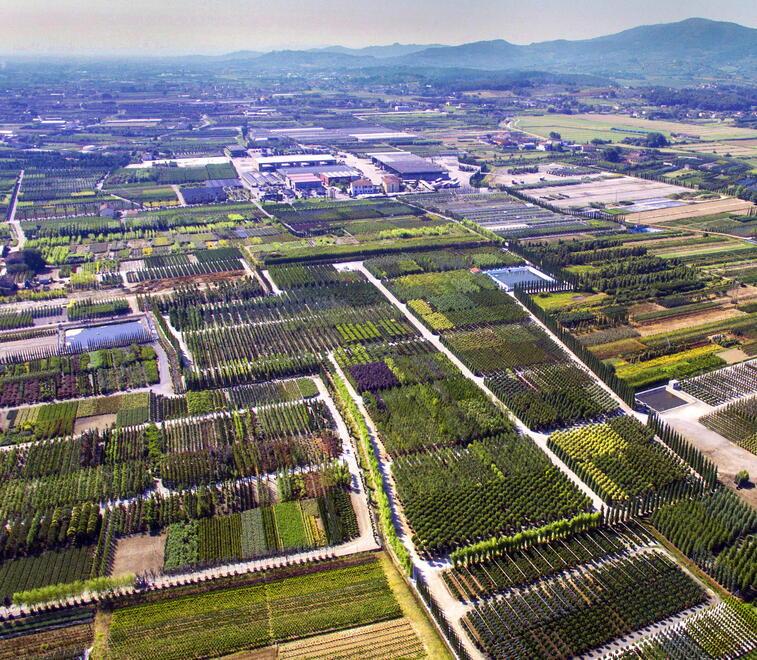 Vivaisti di Pistoia, un laboratorio in proprio per garantire la salute delle piante