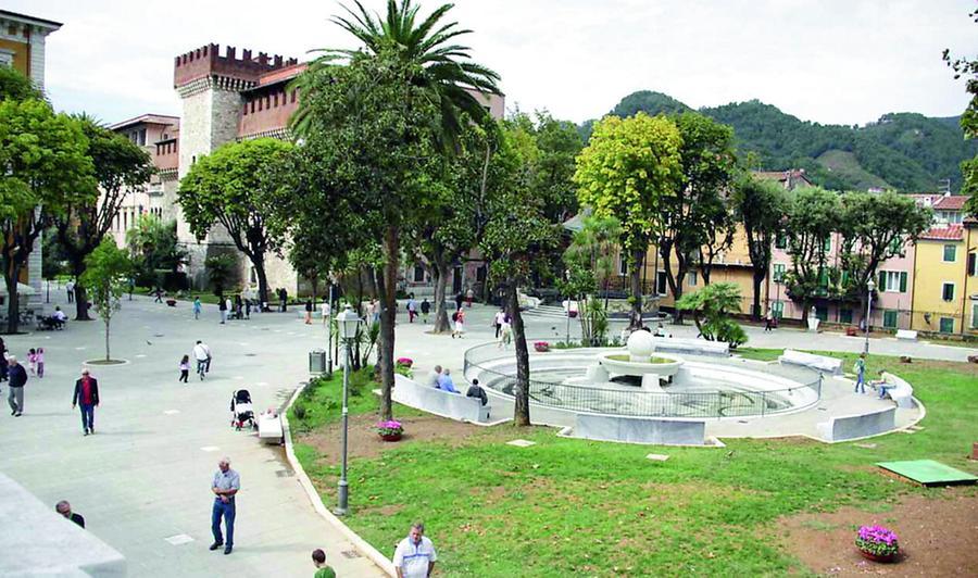 Carrara, pitbull libero sbrana un gatto in piazza: «I bambini hanno visto tutto»