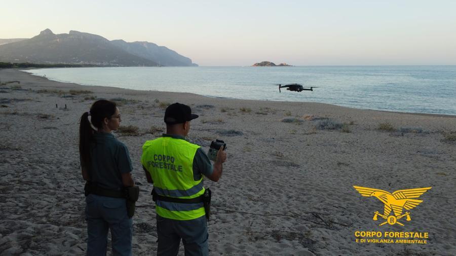 Droni in volo per salvaguardare i nidi di tartaruga nelle spiagge dell’Ogliastra