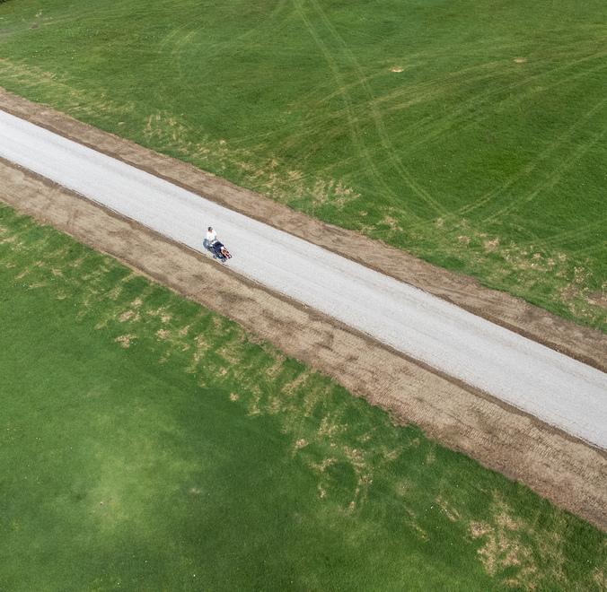 Ferrara, Italia Nostra all’attacco: «È stato snaturato il parco Urbano»