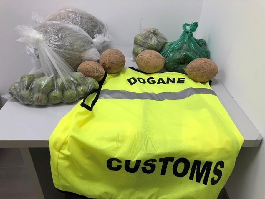 In aeroporto con formaggi e vegetali non tracciati: due stranieri nei guai ad Alghero