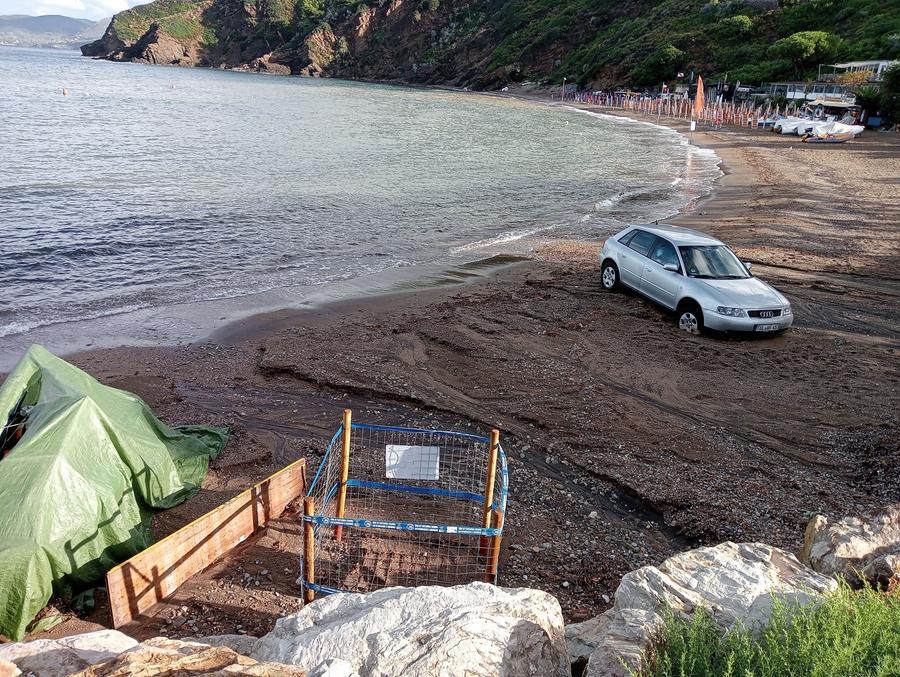Elba, auto parcheggiata sulla spiaggia dove ha nidificato mamma tartaruga