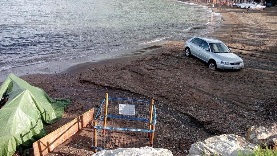 Elba, auto parcheggiata sulla spiaggia dove ha nidificato mamma tartaruga