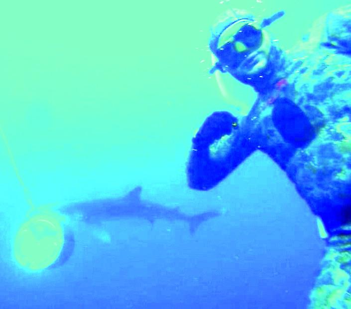 Cala Gonone, l’uomo delle balene e dei delfini: «Ma ora ci sono anche gli squali»