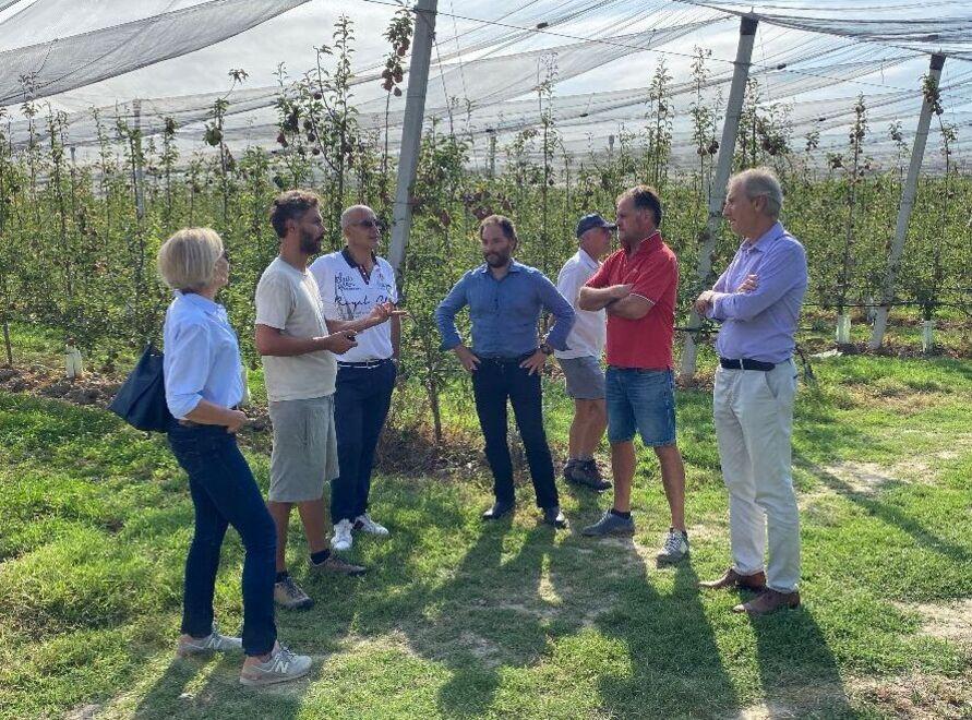 Ferrara, Confagricoltura: «Vicini agli imprenditori colpiti dal maltempo»