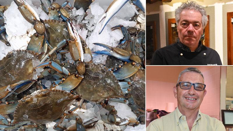 Grosseto, il granchio blu finisce in tavola. «Più buono degli altri crostacei»