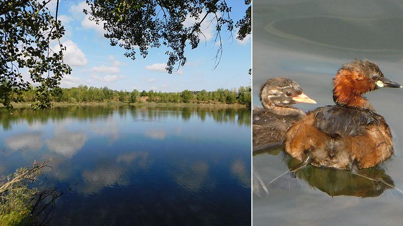 Empoli Visita Gratuita Nell area Naturale Protetta Ecco Come 
