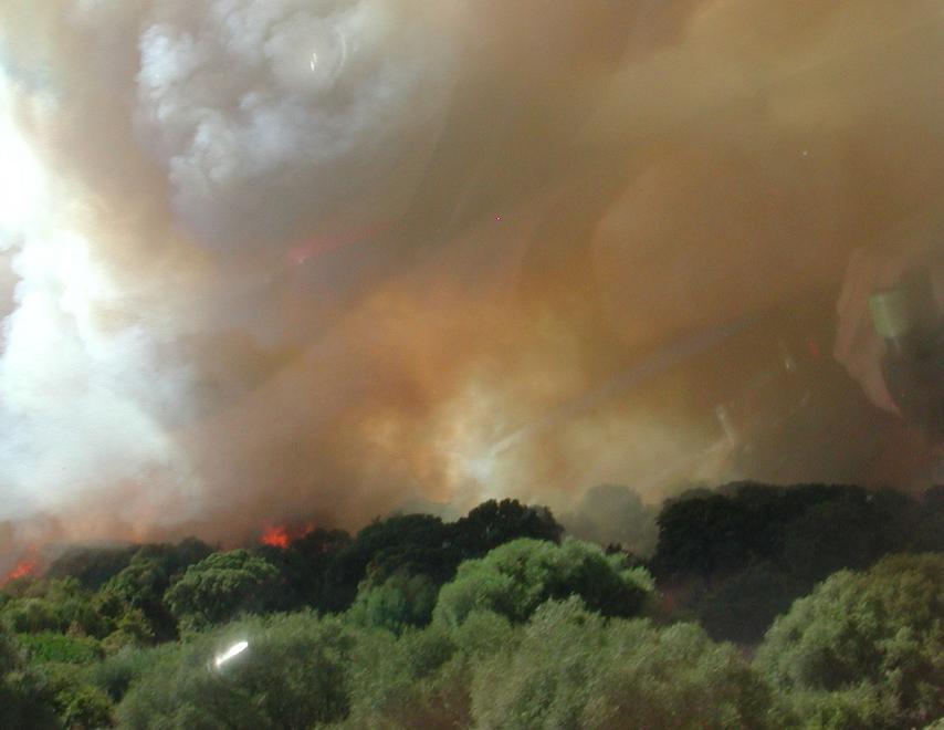 Vento e imprudenza: roghi a Cabras e Palmas Arborea