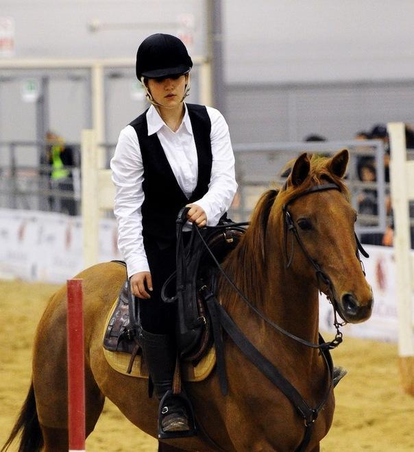 “Monta da lavoro”, cavalli in gara 