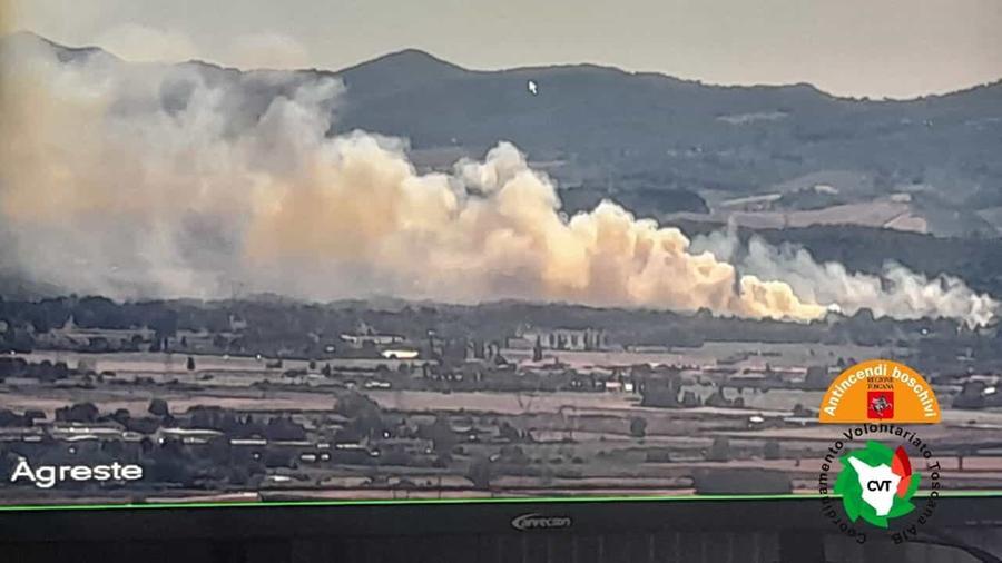 
	L'incendio che sta interessando il bosco a Fauglia

