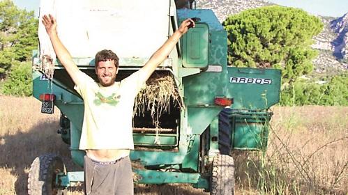 A Orosei da turista a re del grano: «Semino, raccolgo e faccio il pane»