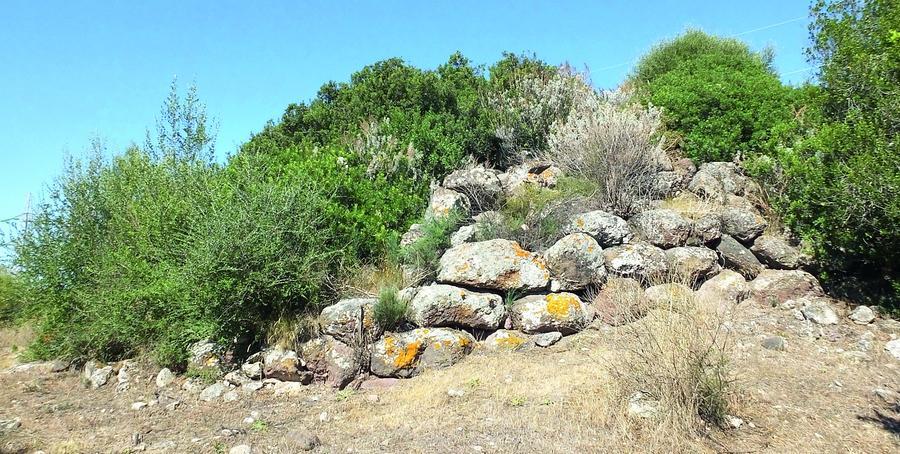A Sassari un nuraghe dimenticato tra cespugli e capannoni