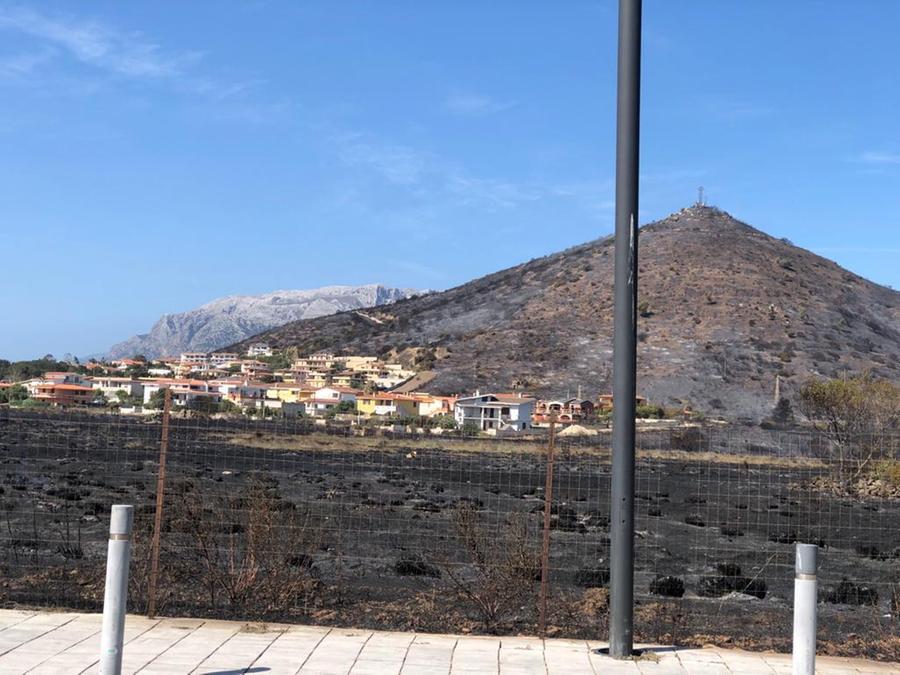 Dopo l’inferno, la conta dei danni: in ginocchio agricoltura e turismo