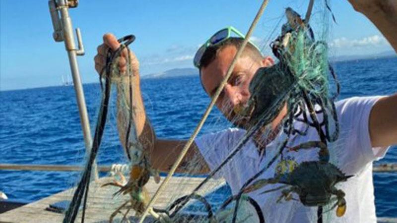 Il granchio blu nel golfo di Follonica. Il racconto di un pescatore: «Ne ho trovati 62 nella rete»