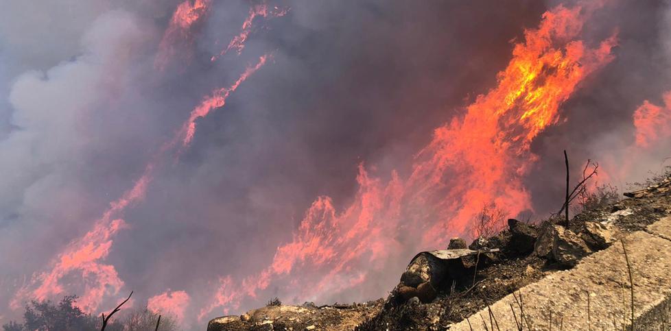 I consigli della Protezione civile&nbsp;per scongiurare gli incendi<br>
