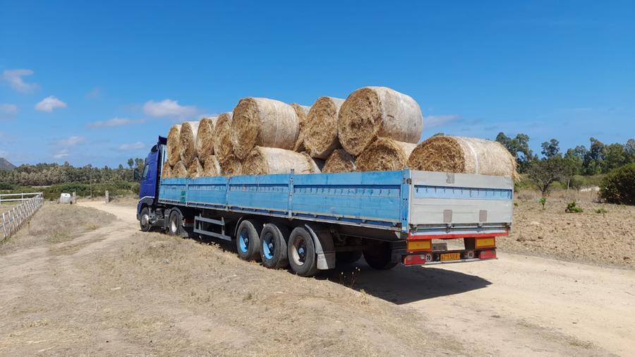 
	"Sa paradura" per l'allevatore di Feraxi colpito dall'incendio

