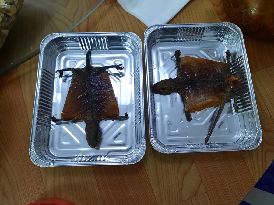 
	I due gechi del Tokai sequestrati dai carabinieri forestali

