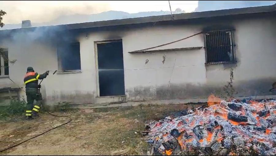 Siniscola, il dramma di un allevatore: «Ho perso tutto, in salvo solo le pecore»