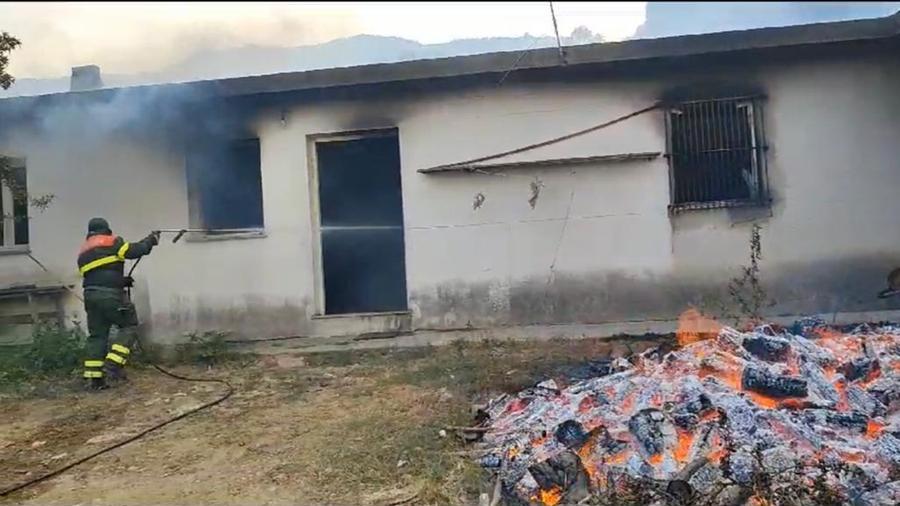 Siniscola, il dramma di un allevatore: «Ho perso tutto, in salvo solo le pecore»