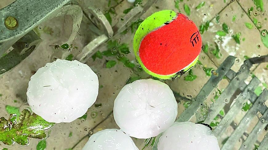 Quelli che «la grandine non si scioglie» Ora i no-vax sono negazionisti del clima