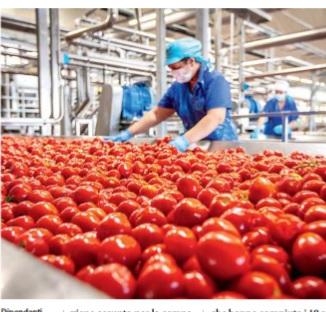 
	Un&rsquo;addetta alla lavorazio- ne del pomodoro ad Albinia

