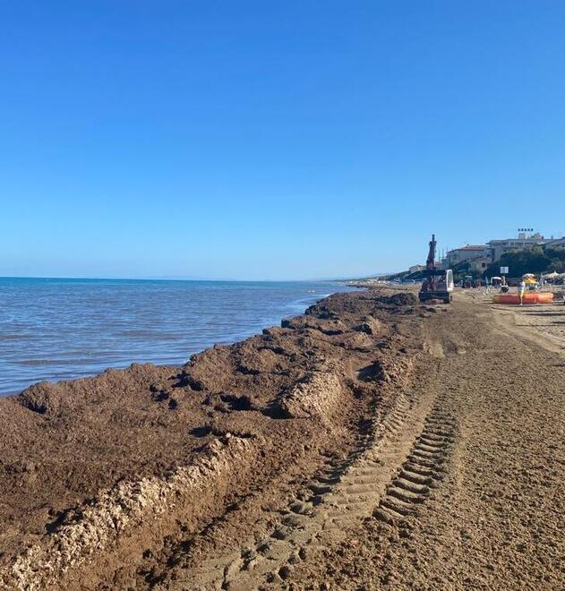 Posidonia spiaggiata a nord del porto. Avviata la rimozione<br>

