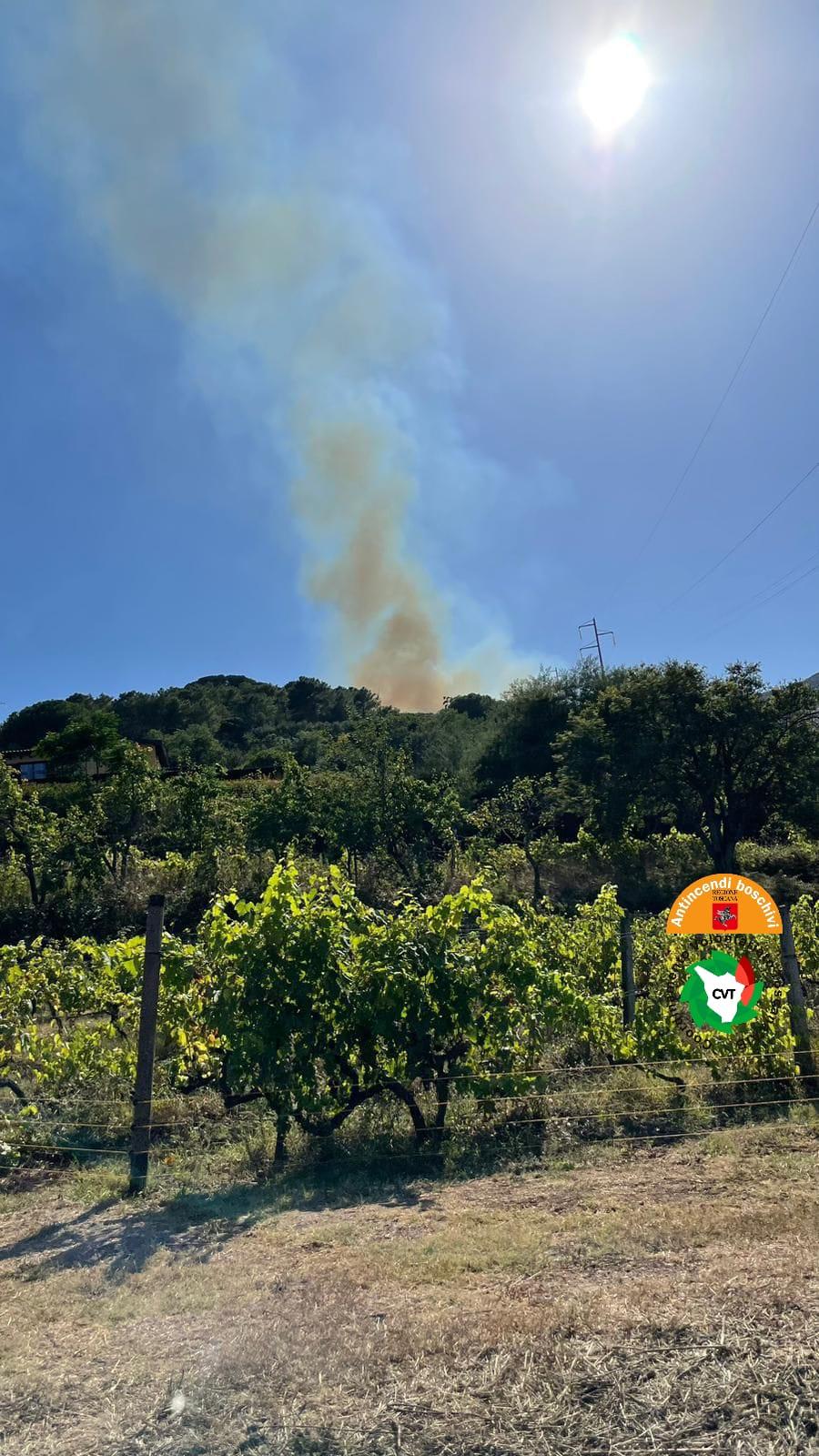 
	Il fumo dovuto all'incendio a Rio (foto Antincendi Boschivi Regione Toscana)

