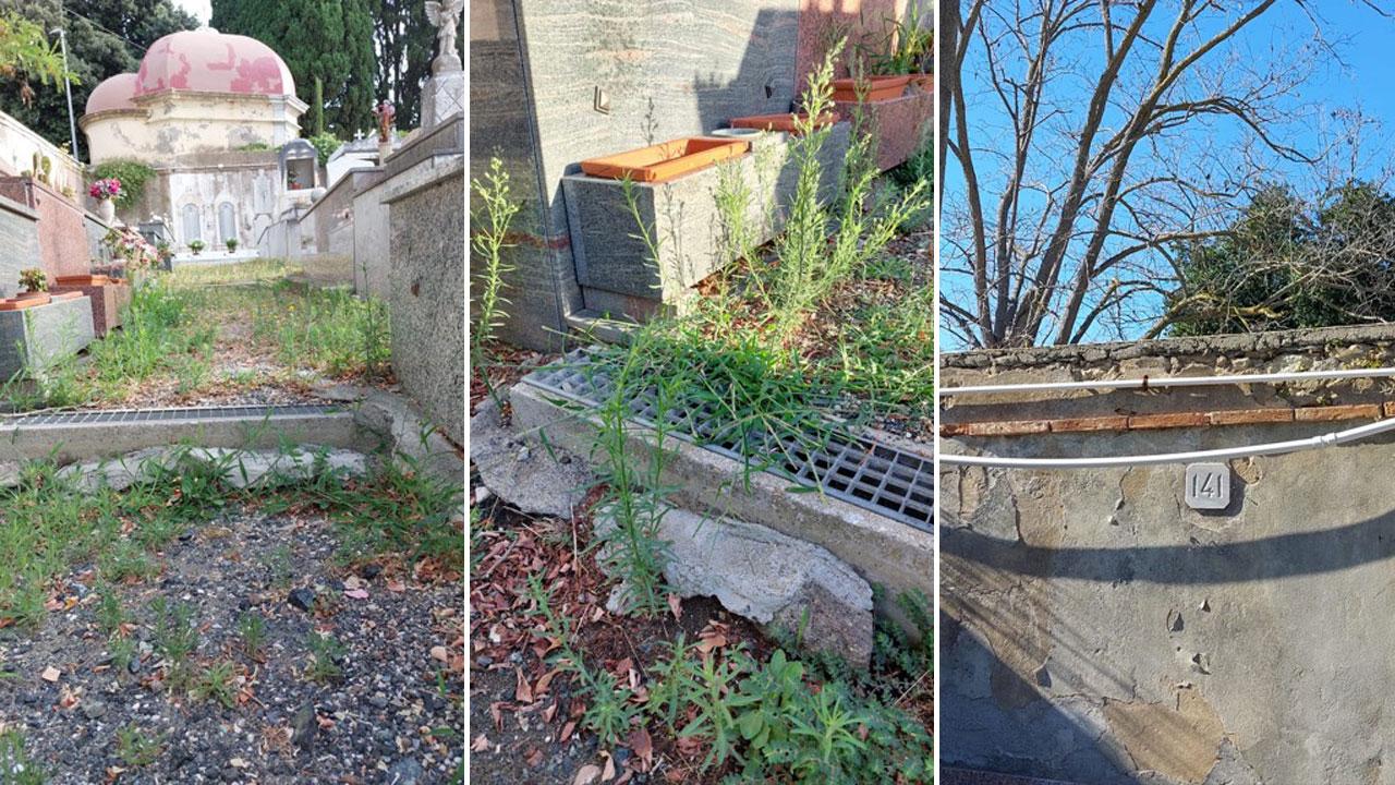 Alcune immagini del cimitero di Rosignano Marittimo
