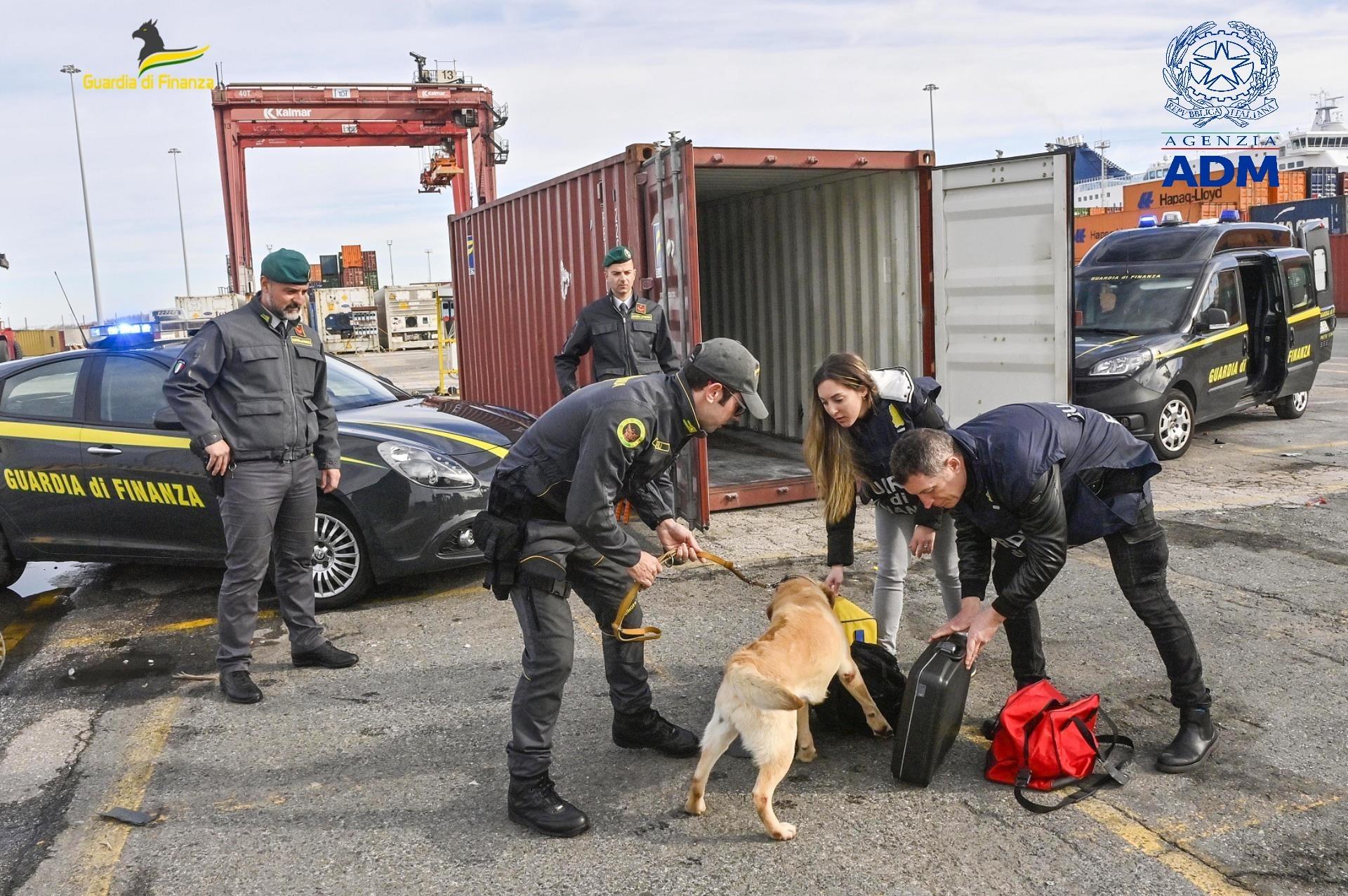 La guardia di finanza in azione