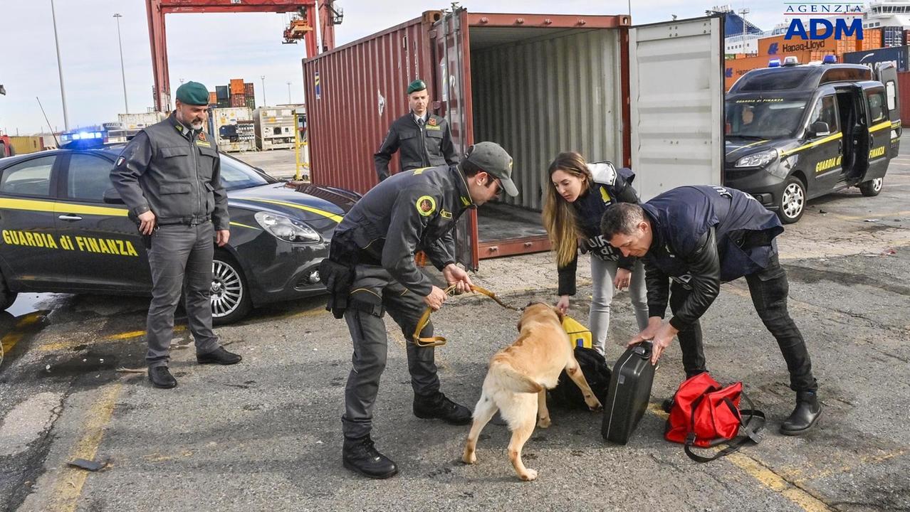 La guardia di finanza in azione